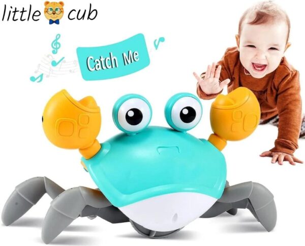 little crawling crab catch me if you can for kids
