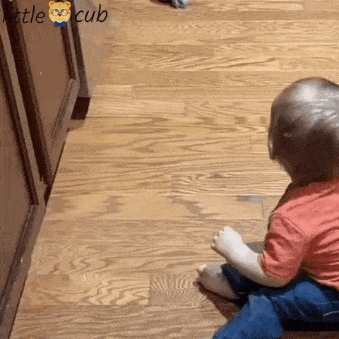 little crawling crab toy for babies